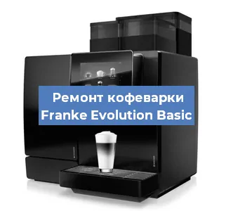 Декальцинация   кофемашины Franke Evolution Basic в Перми